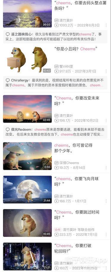 还记得表情包小狗Cheems吗？它的原型去世了