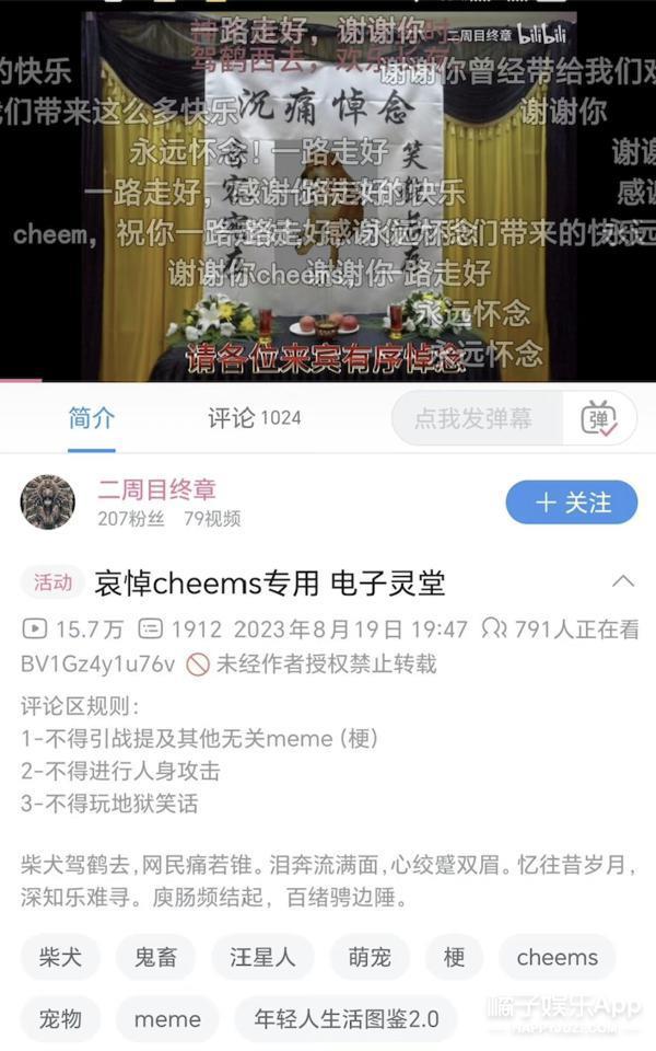 还记得表情包小狗Cheems吗？它的原型去世了