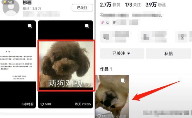 为李玟愤怒的一天