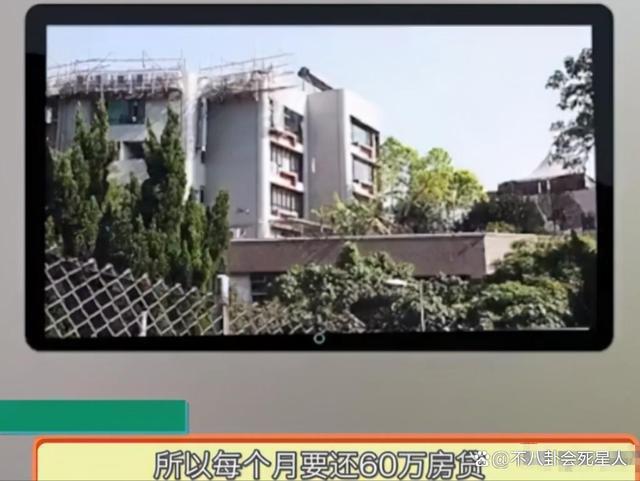 香港“天王”谈内地音综，刘德华张学友坚决不参加，郑中基想打人