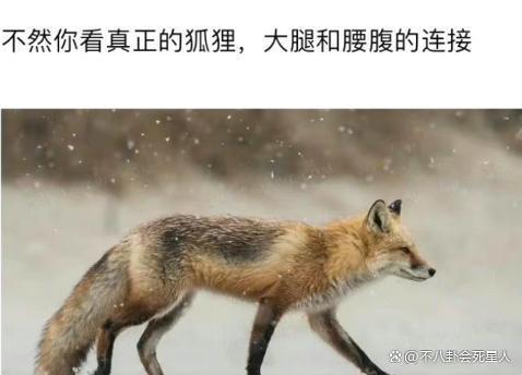 娜然发言惹众怒、导演黑历史一大把，《封神》第二部悬了！