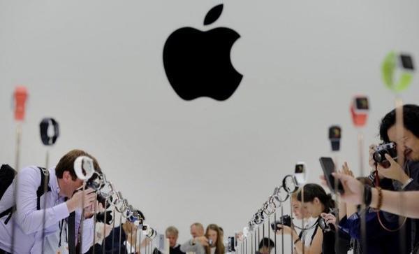 苹果公司正式申请菠萝、凤梨商标 它还是那么爱水果