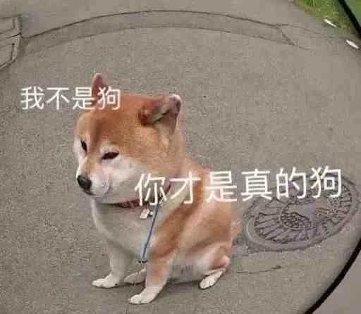 韩国一女团成员14岁时曾被侵犯？