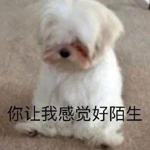 韩国一女团成员14岁时曾被侵犯？