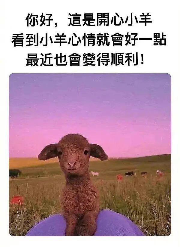 韩国一女团成员14岁时曾被侵犯？
