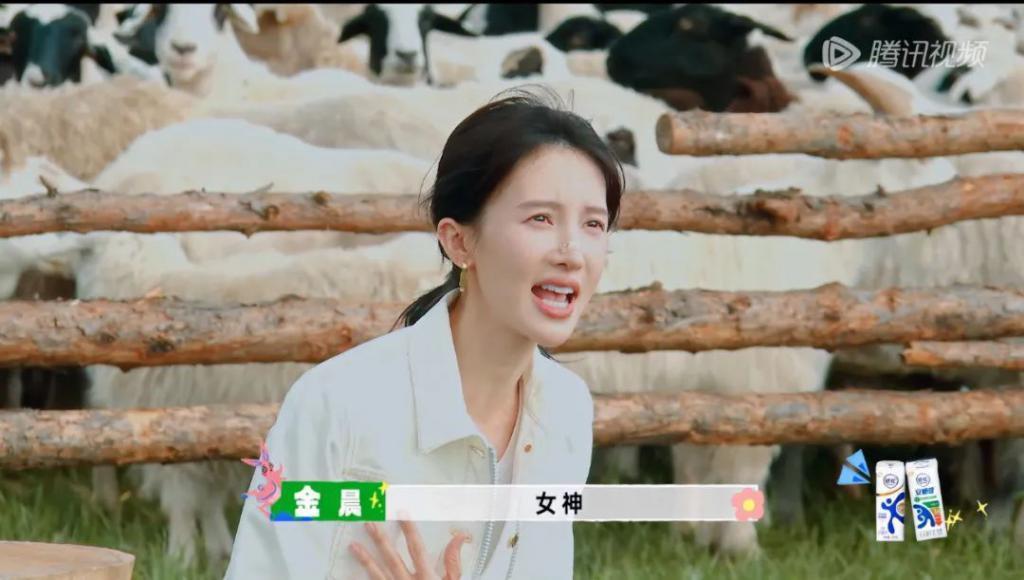 别说沈腾了，我看了也不想走