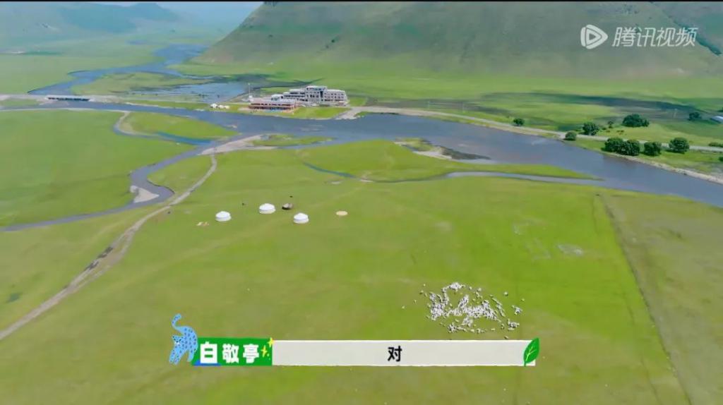 别说沈腾了，我看了也不想走