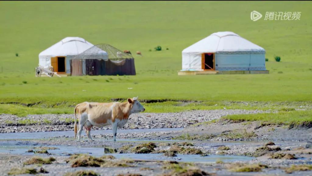 别说沈腾了，我看了也不想走