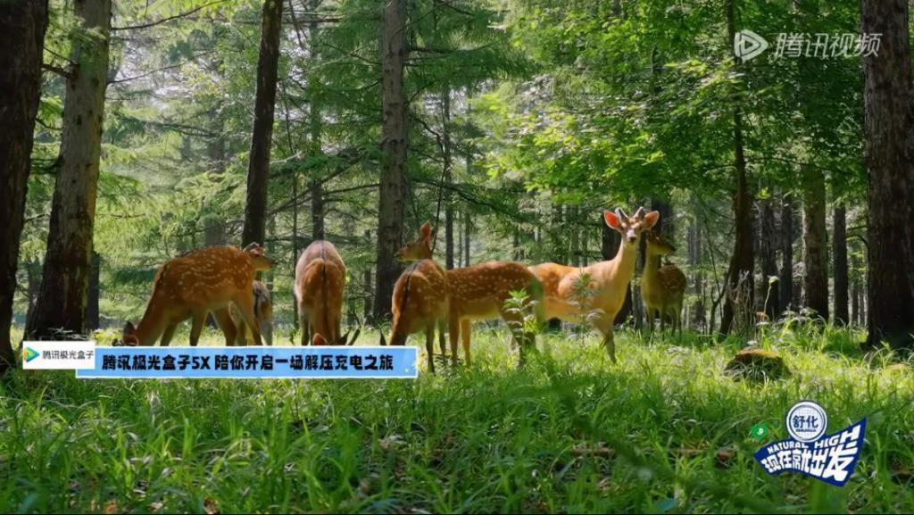 别说沈腾了，我看了也不想走