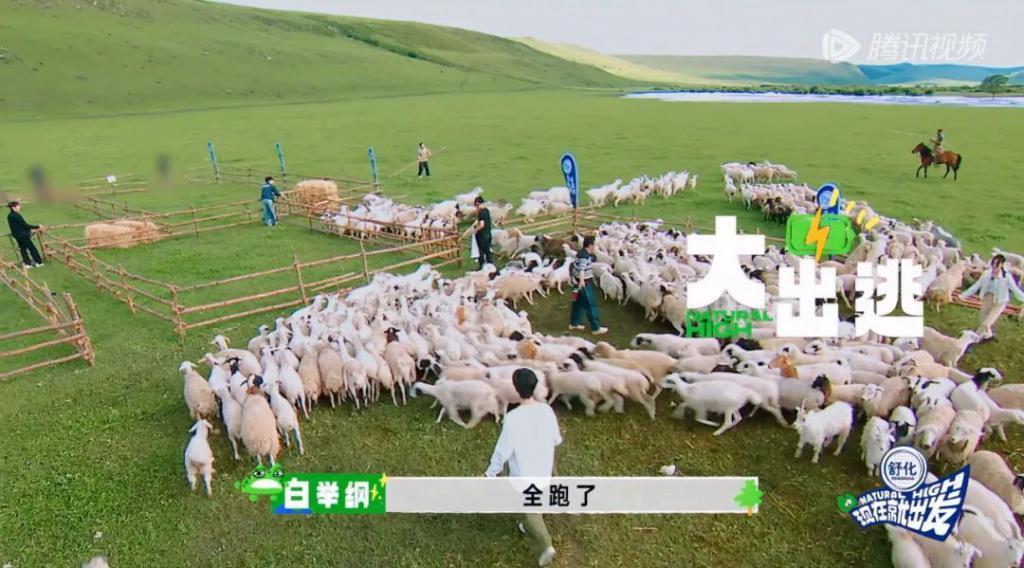 别说沈腾了，我看了也不想走