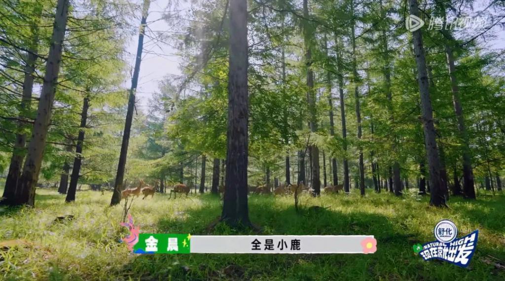 别说沈腾了，我看了也不想走