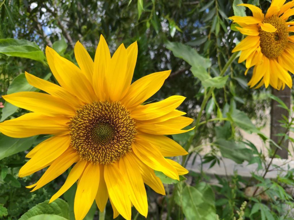 我，27岁，不想过七夕