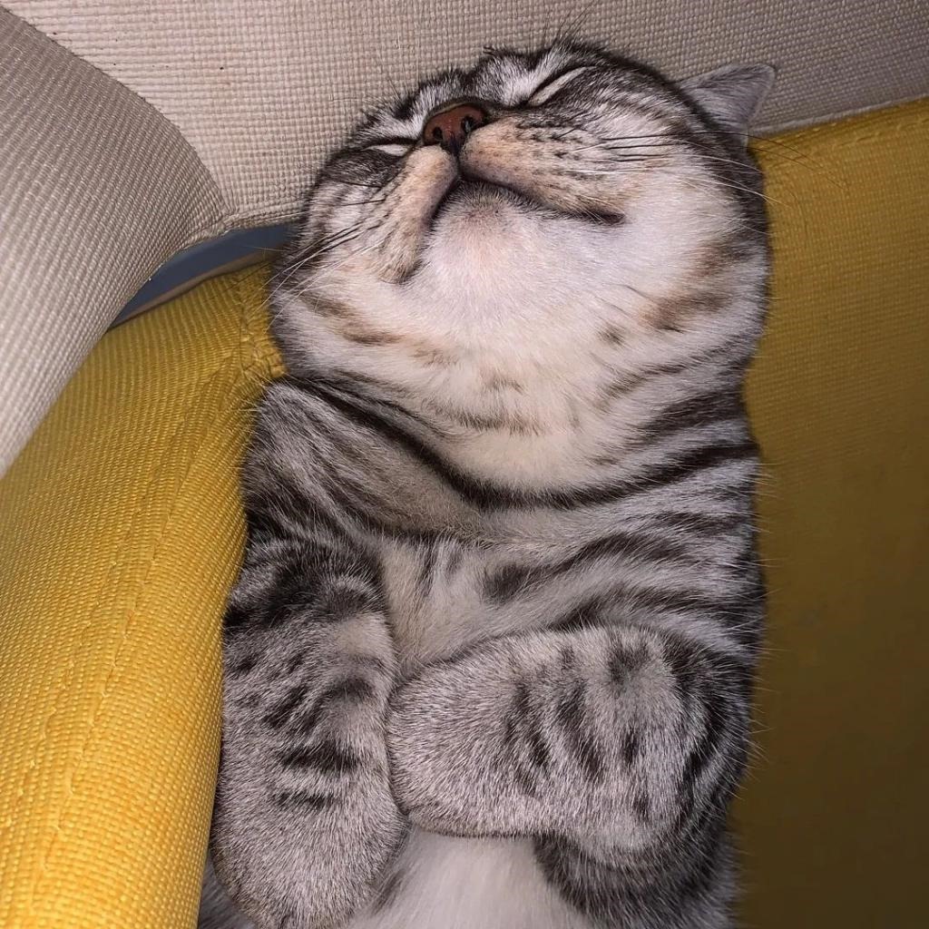 我，27岁，不想过七夕