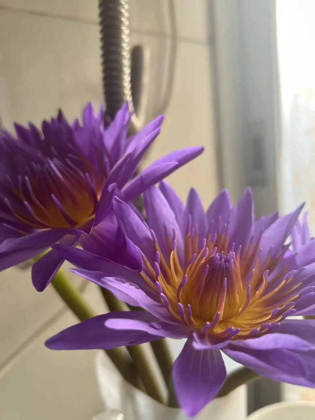 我，27岁，不想过七夕