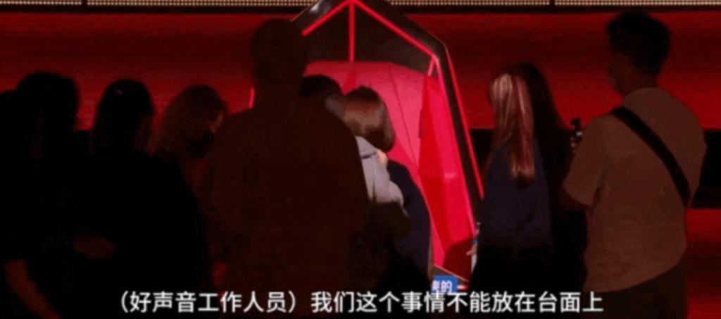 内娱，「逼死」了李玟