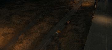 狂砸650亿，刚播即爆，韩剧这次又赢麻了