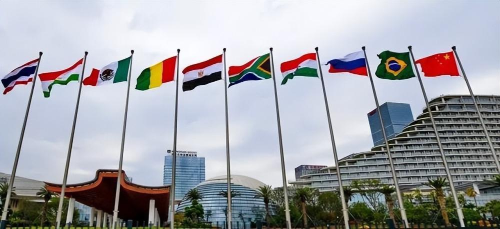 “金砖”扩员，这几国最有机会