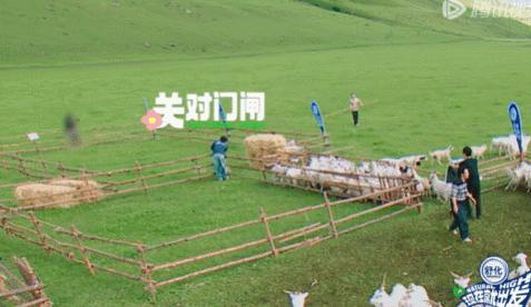怎么能把逗魏大勋这件事，整出一百种花活的啊