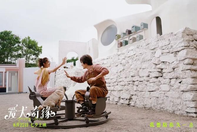 狗片失利、爱情不出众，3亿七夕档一半靠“诈骗”？