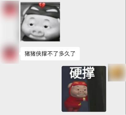 今年最流行的动漫，不会是17年前的《猪猪侠》吧？