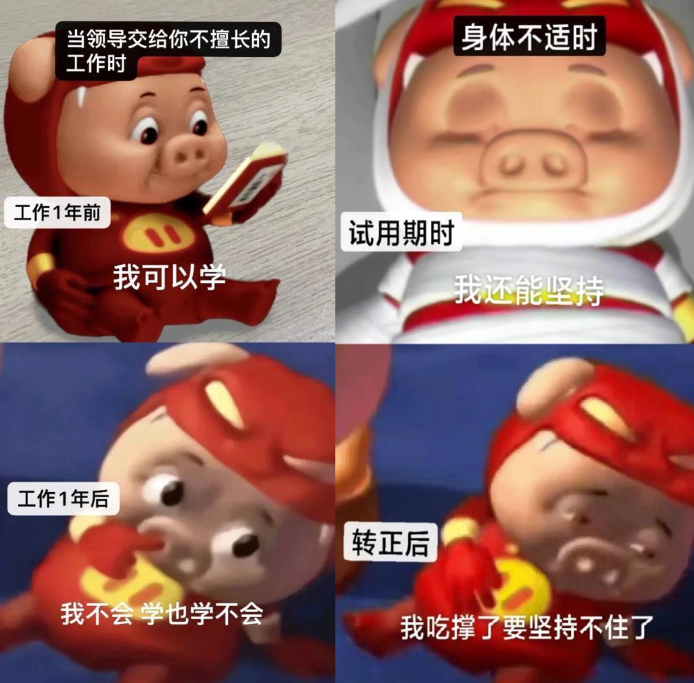 今年最流行的动漫，不会是17年前的《猪猪侠》吧？