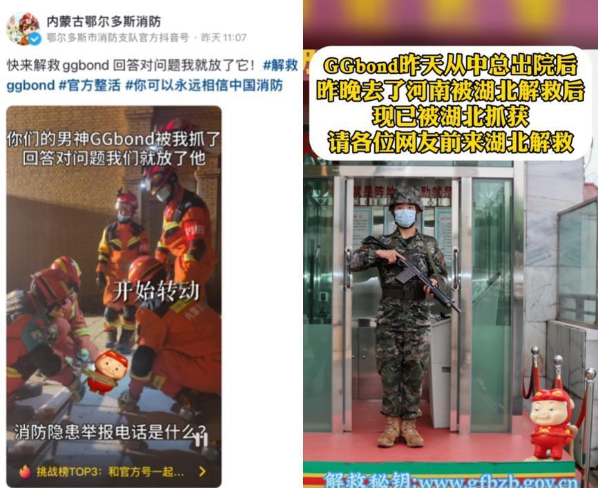 今年最流行的动漫，不会是17年前的《猪猪侠》吧？