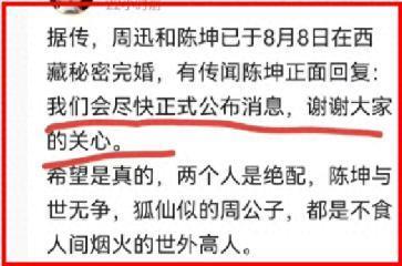 陈坤：不会和周迅结婚