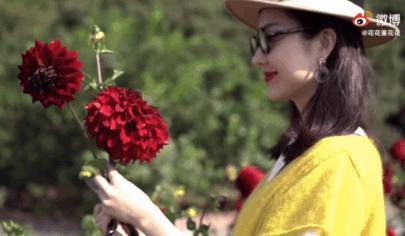 当年撕成那样，现在她高调怀孕了？