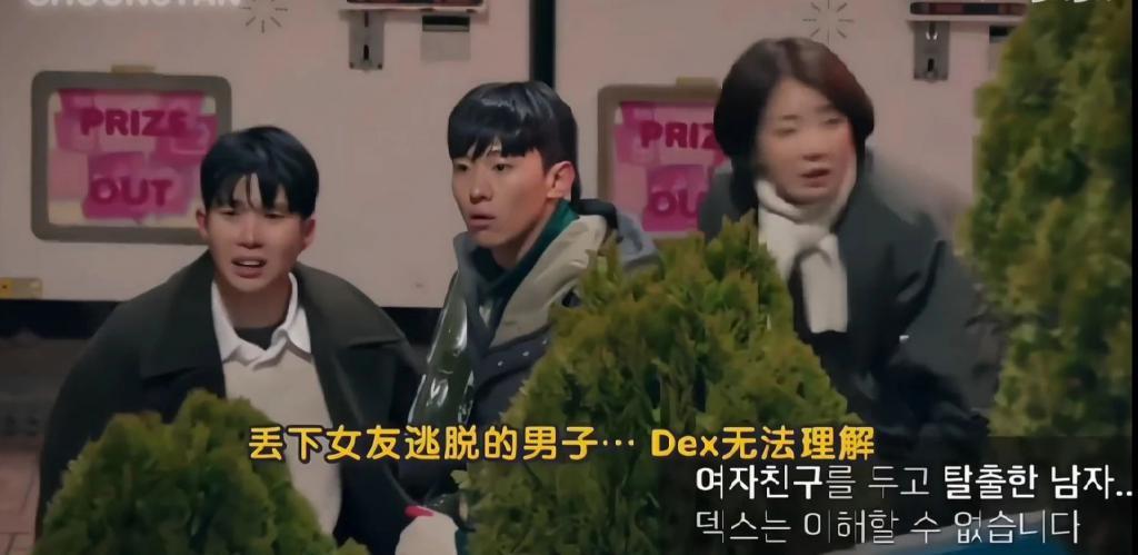 韩国明星，连上综艺都在发疯