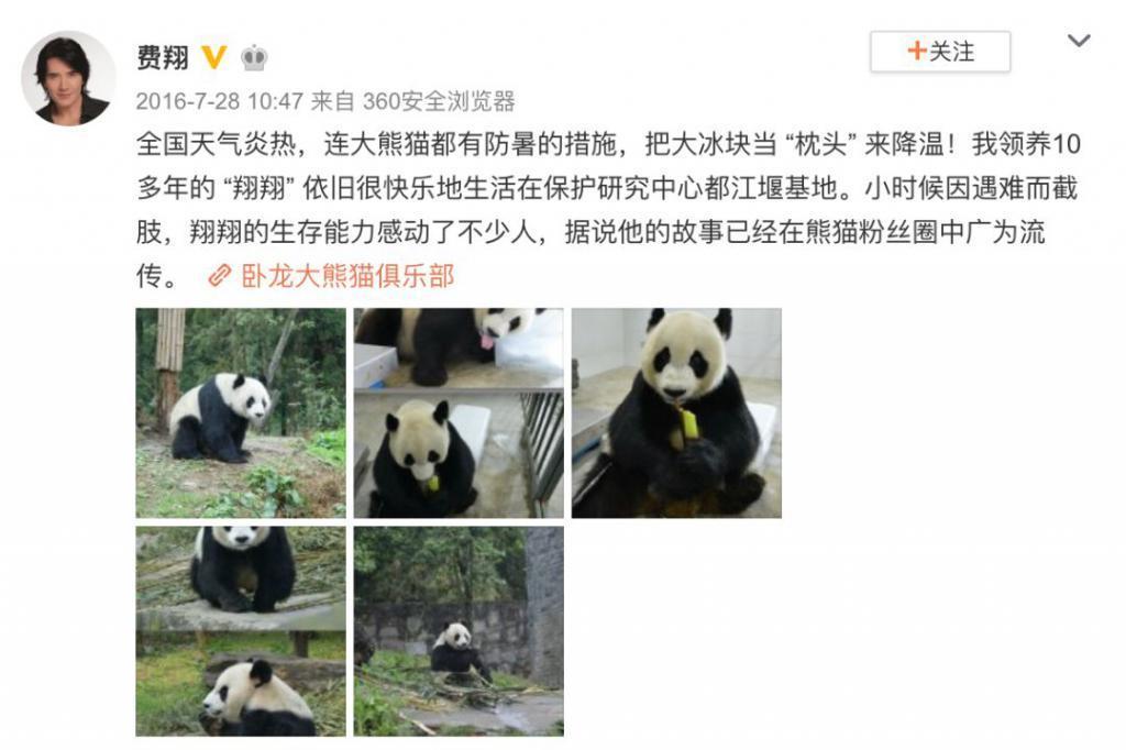 费翔的瓜，好大