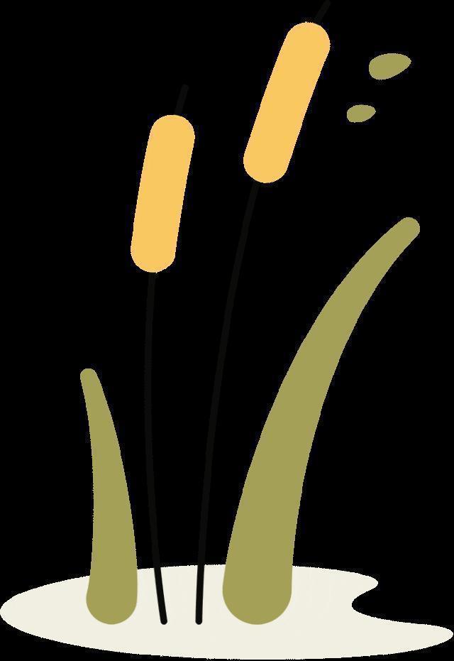 费翔的瓜，好大