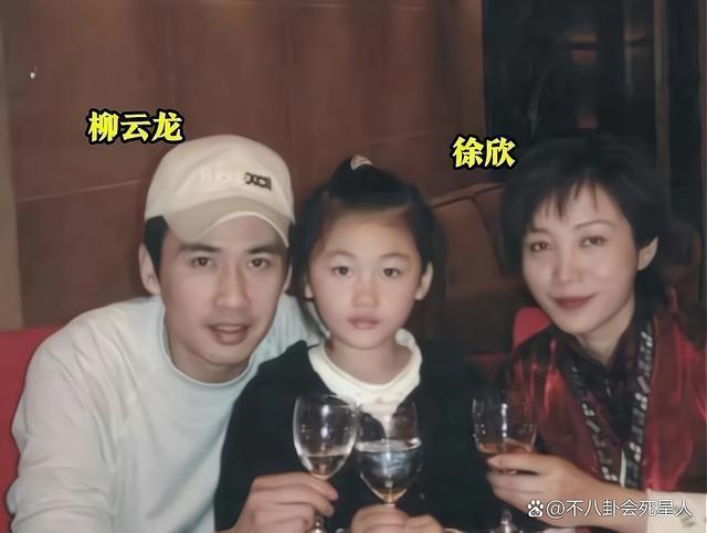 柳云龙离婚早有端倪，公司转到情人名下，妻子曾惋惜情意终结