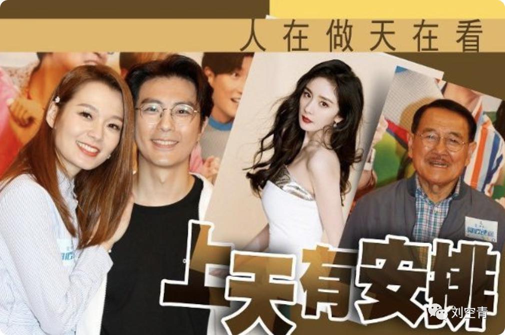 这个瓜，我太惊讶了！