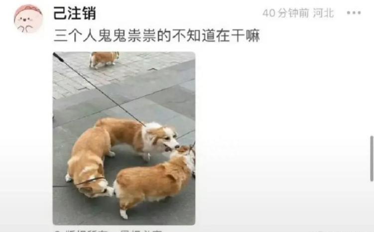 周冬雨刘昊然新片扑街！网友差评不断，票房预测仅2000万