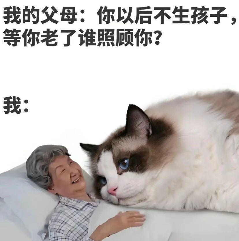 别太离谱！连宠物也开始相亲了