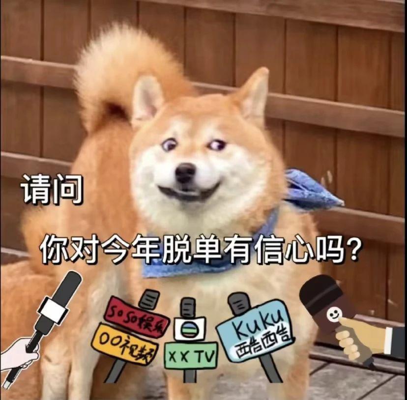 别太离谱！连宠物也开始相亲了