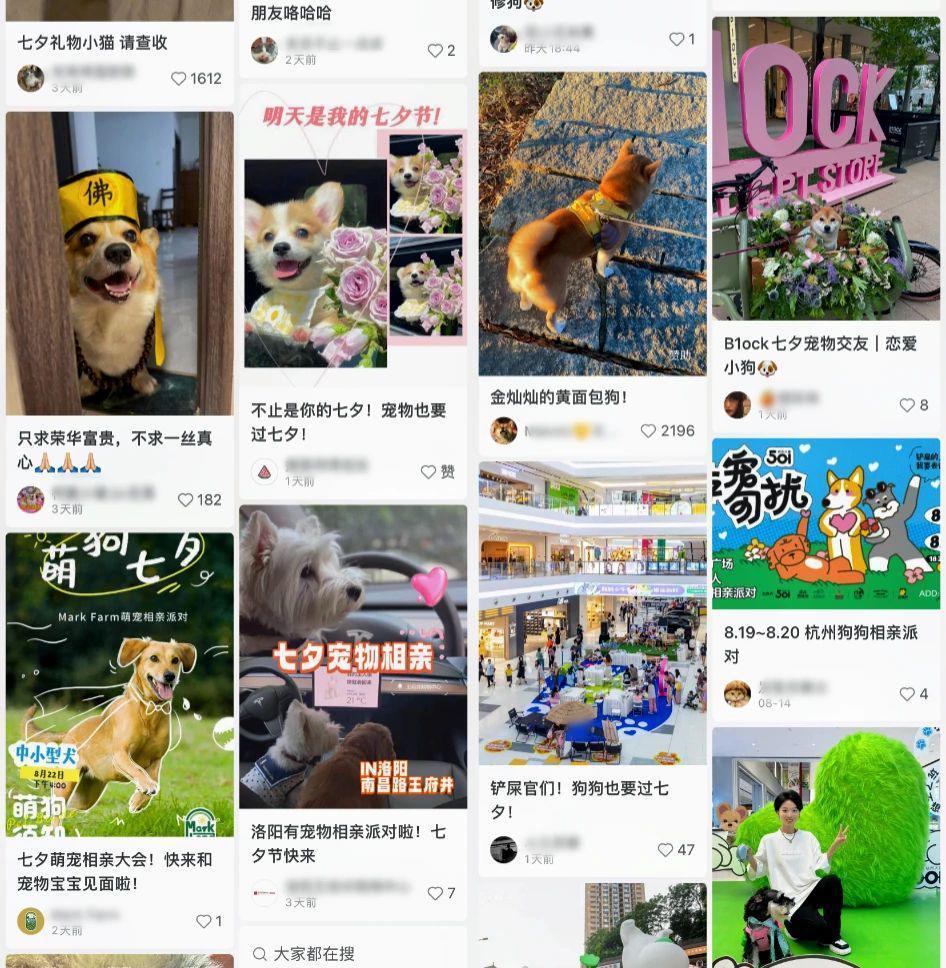 别太离谱！连宠物也开始相亲了