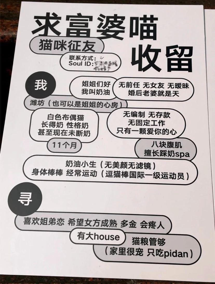 别太离谱！连宠物也开始相亲了