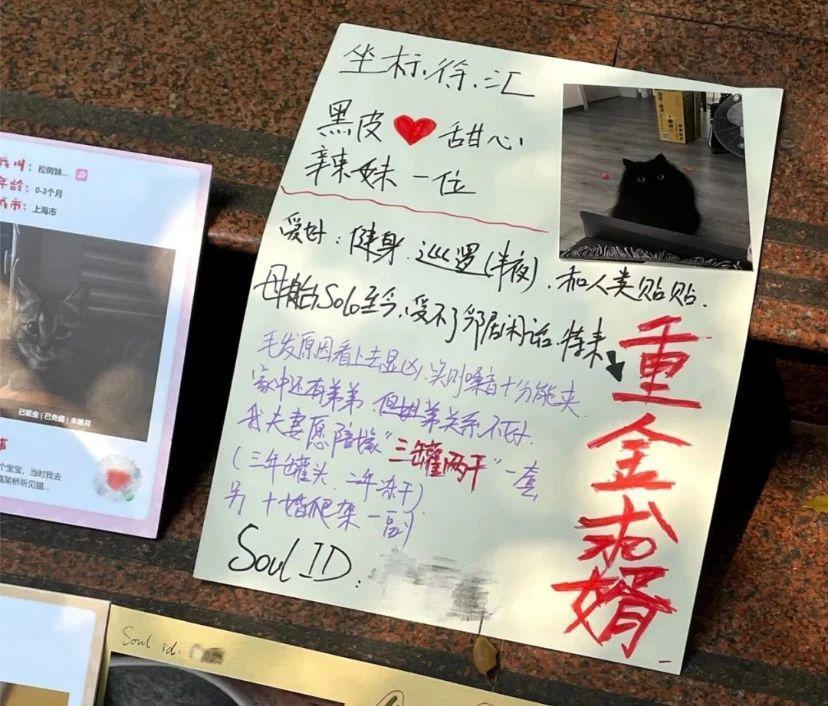 别太离谱！连宠物也开始相亲了