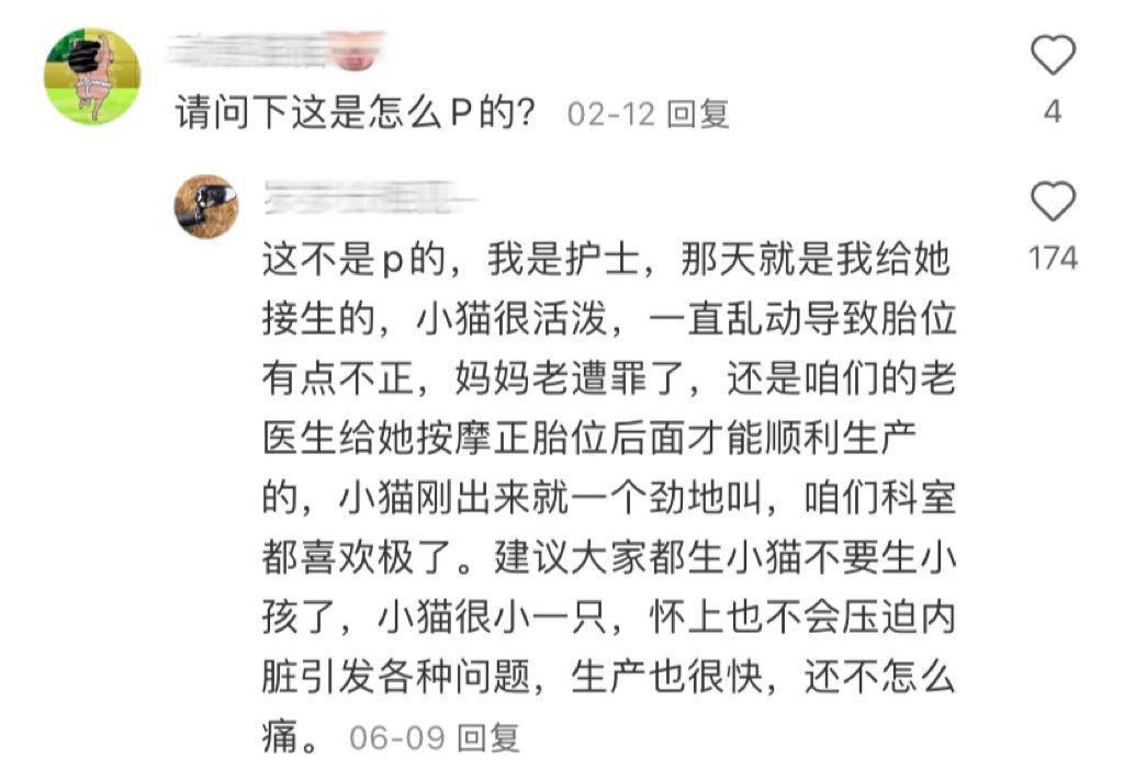 别太离谱！连宠物也开始相亲了