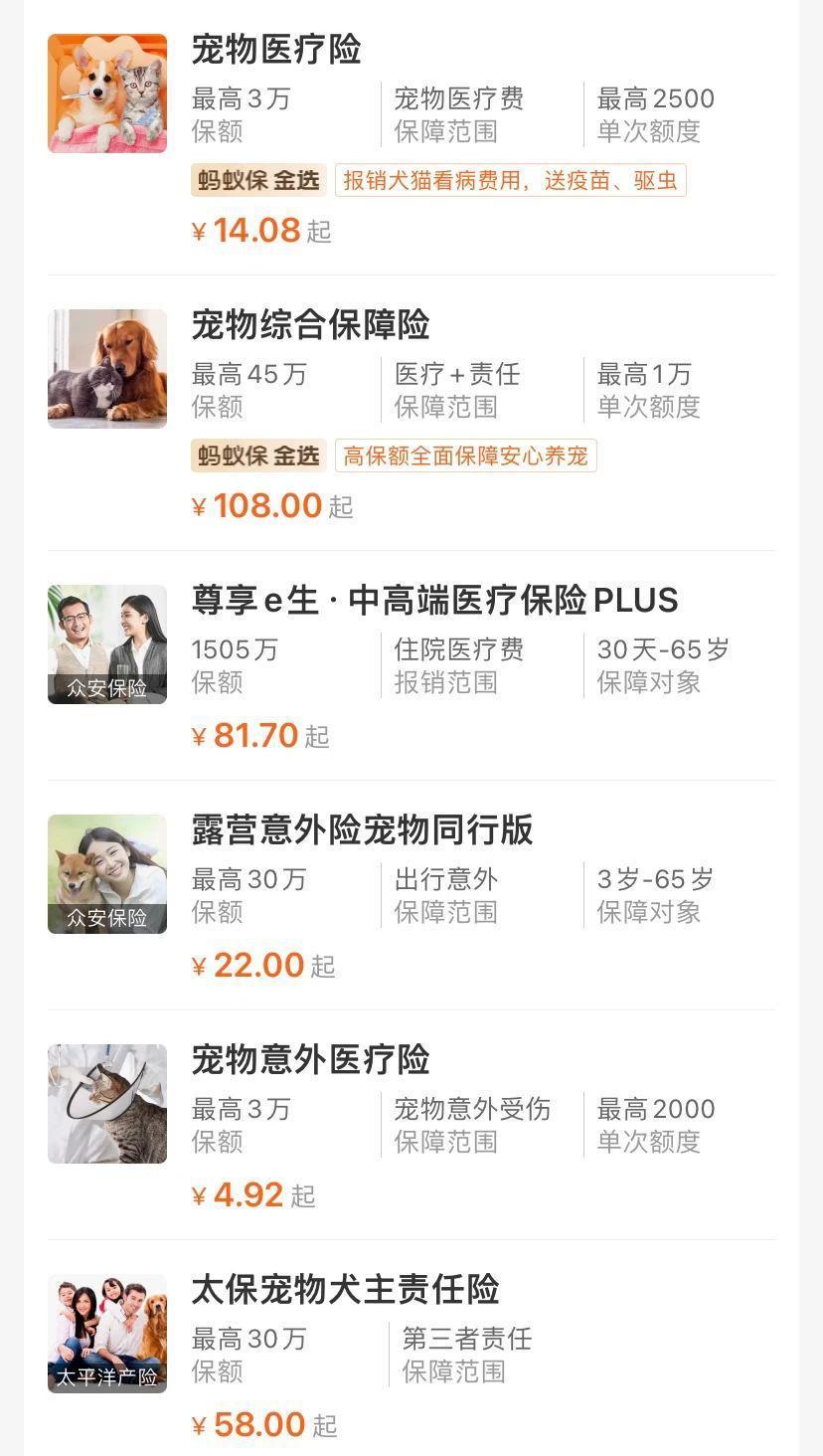 别太离谱！连宠物也开始相亲了