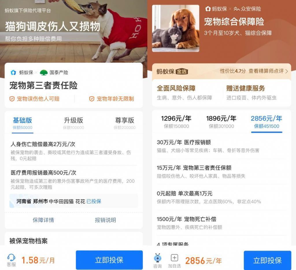 别太离谱！连宠物也开始相亲了