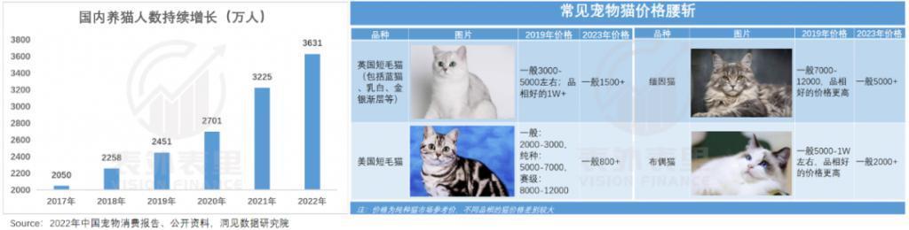 从月入五万到破产，猫舍怎么干不动了？
