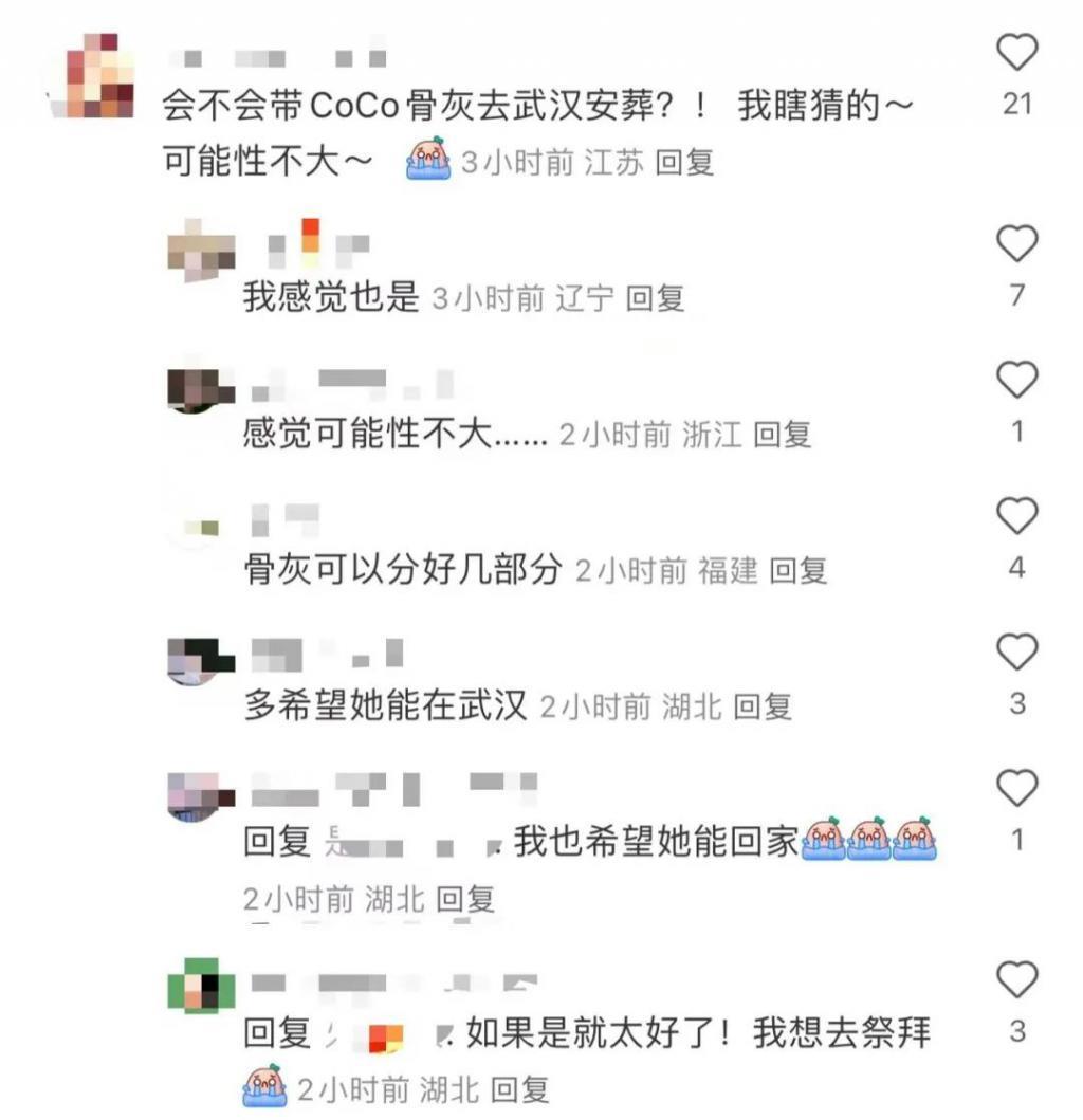 李玟风波进展：家人疑将李玟葬武汉，刘德华发声，柳骊疑道歉