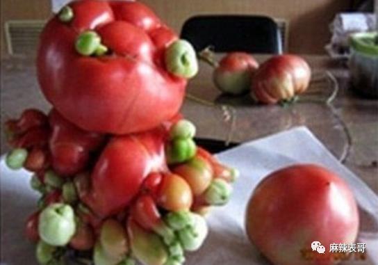 这都能夸起来啊？