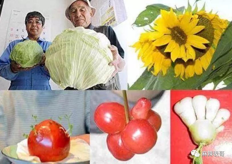 这都能夸起来啊？