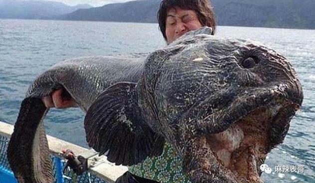 这都能夸起来啊？