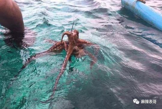 这都能夸起来啊？