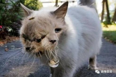 这都能夸起来啊？