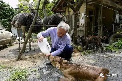 这都能夸起来啊？